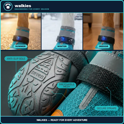 Led Light Shoes For Dogs