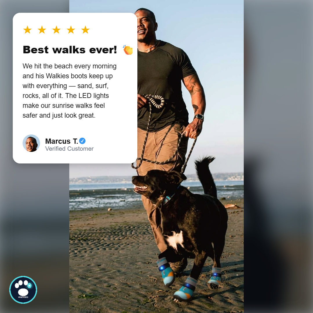 Led Light Shoes For Dogs