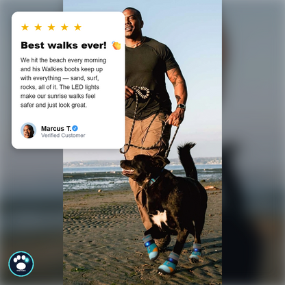 Led Light Shoes For Dogs
